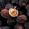 Black Walnut Extract - Toxofil Composition